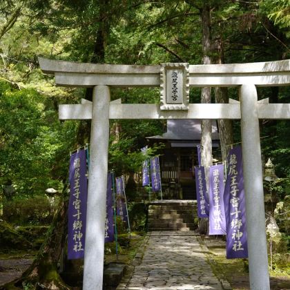 日本大阪+伊势市+鸟羽市+熊野市+白滨町7日6晚私家团