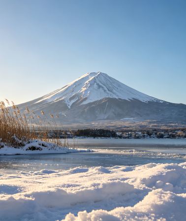 8D7N • Classic Honshu tour of Japan · Osaka + Kyoto + Mt. Fuji + Tokyo