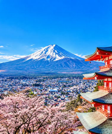 2D1N • Izu City + Hakone + Mount Fuji