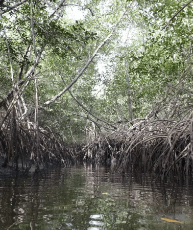 2D1N • Sine Saloum: 2-Day Delta Boat Tour with Camping