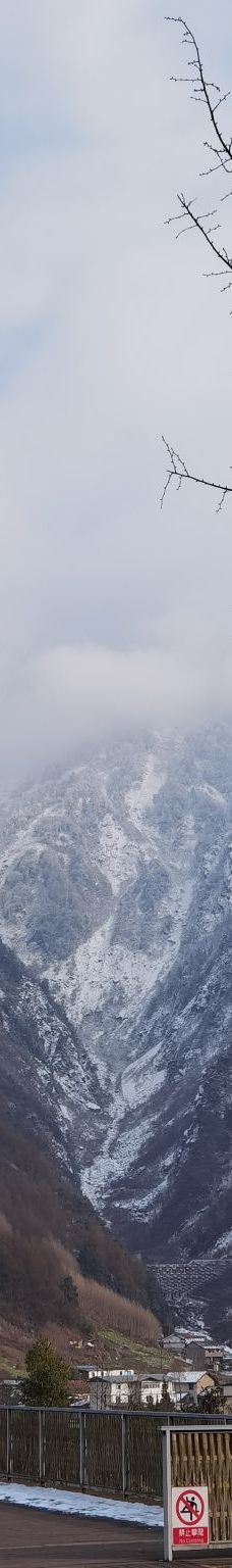 卧龙中华大熊猫苑神树坪基地-汶川