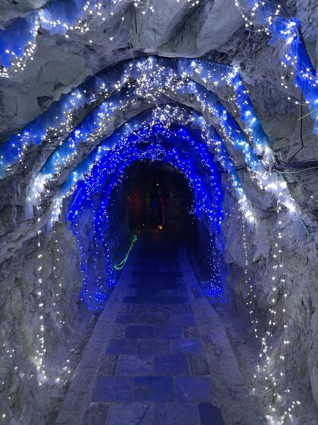 上关花·天龙洞景区旅行图片 2
