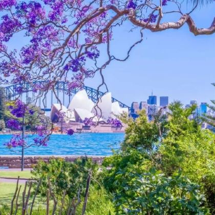 澳大利亚8日6晚私家团