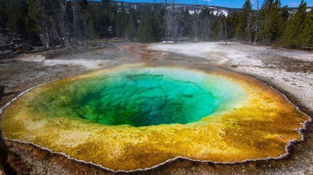 5-Day Yellowstone Tour from Salt Lake City·Great Salt Lake, The Grand Prismatic Hot Spring, Old Faithful Geyser | Max 14 Pax