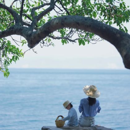 云南昆明+弥勒+普者黑景区+元阳+建水+抚仙湖7日6晚私家团