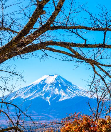 4天3晚 • 日本東京富士山 4 天 3 夜拼小團
