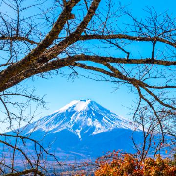 日本东京+富士山4日3晚拼小团