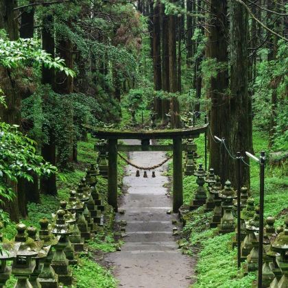 日本东京+富士山+大阪+京都+奈良市8日7晚跟团游