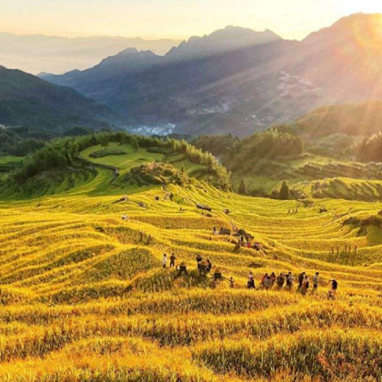 丽水3日2晚跟团游