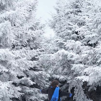 沈阳+长春+长白山+哈尔滨7日6晚跟团游