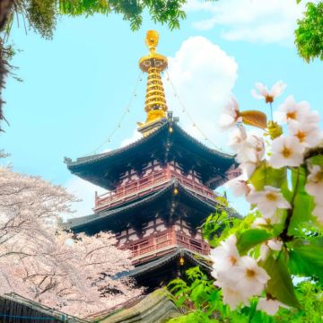 南京+无锡+苏州+乌镇+杭州6日5晚私家团