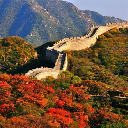 北京5日4晚私家团