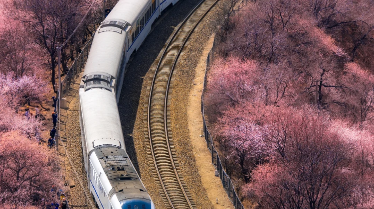 2-Day Beijing + Mutianyu Great Wall + Tiananmen Square + The Palace Museum·  