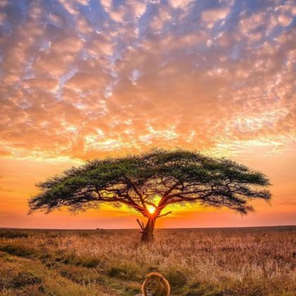 坦桑尼亚9日8晚私家团