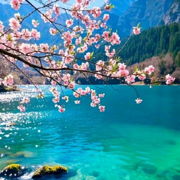 成都+九寨沟+黄龙风景名胜区5日4晚私家团