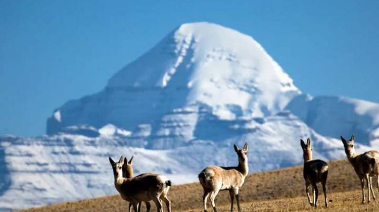 15-Day Tibet Tour 15 Days Lhasa to Kailash Trekking Small Group via EBC
