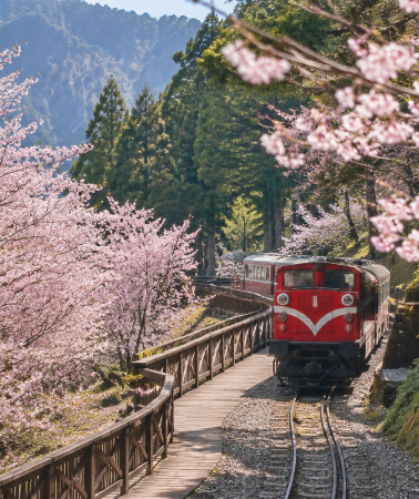 5日 • 乐遊台灣｜台北陽明山＋日月潭船遊＋阿里山小火車