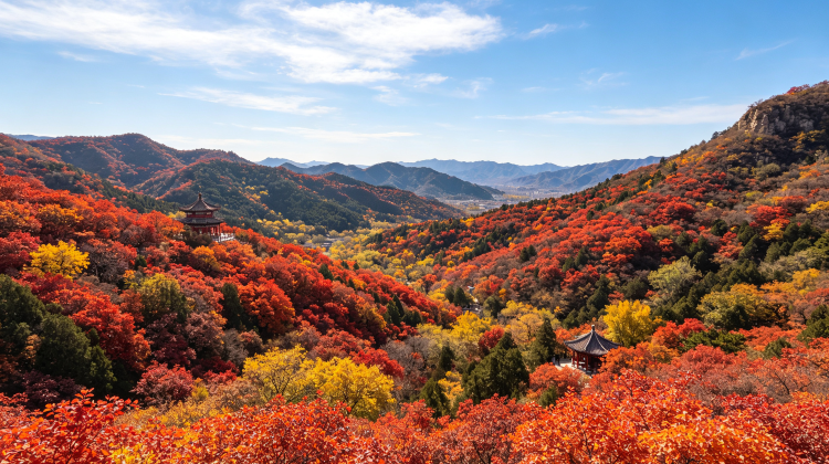 5-Day Beijing + Gubeikou Ancient Town + The Palace Museum + Summer Palace + Mutianyu Great Wall + Temple of Heaven