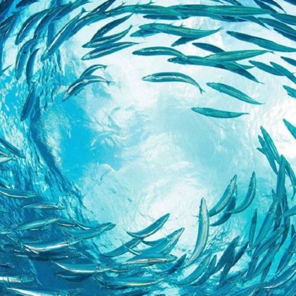 日照2日1晚私家团