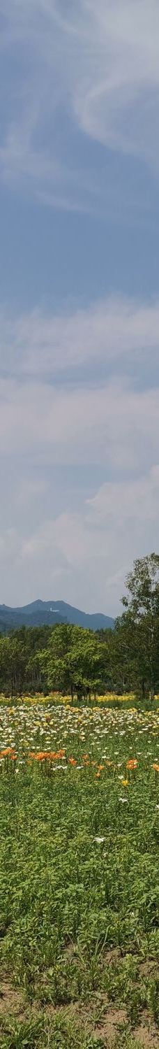 九峰山养心谷旅游度假区-伊春