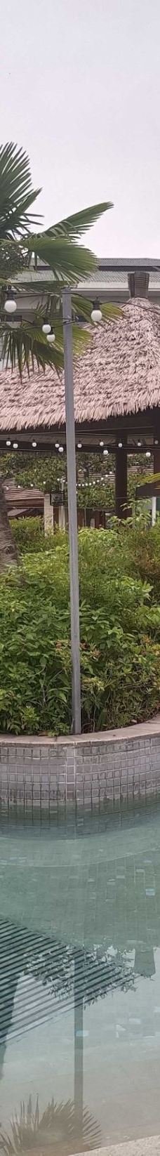 南京-YoYo_3S8F9J2G