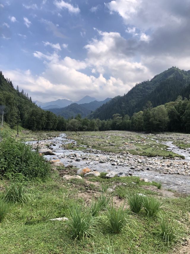 青海互助北山国家森林地质公园浪士当中心景区(暂停开放)旅行图片 1
