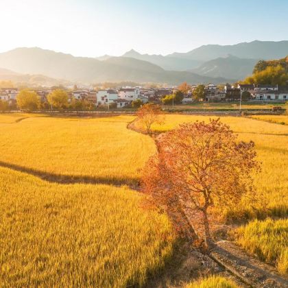 黄山+塔川+奇墅湖+石潭景区3日2晚自由行