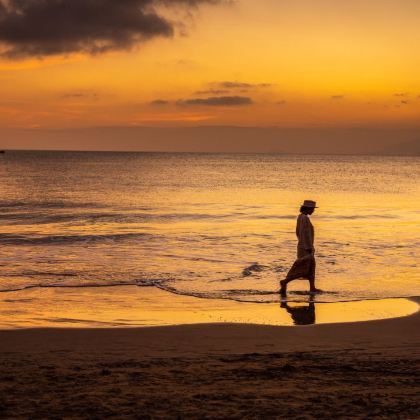 海南海口+儋州+昌江+乐东+三亚5日4晚私家团