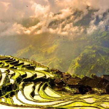 峨眉山+乐山大佛2日1晚跟团游