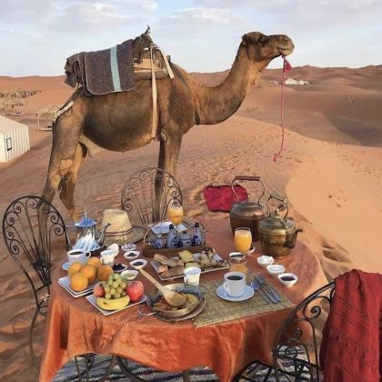 摩洛哥11日10晚私家团