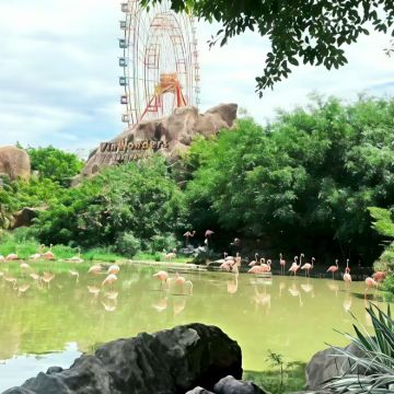 越南芽庄6日5晚私家团