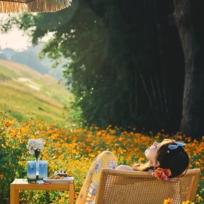 广西南宁+峒那屿湾景区+明仕田园+德天瀑布+古龙山大峡谷+白头叶猴生态旅游区+钦州+三娘湾5日4晚拼小团