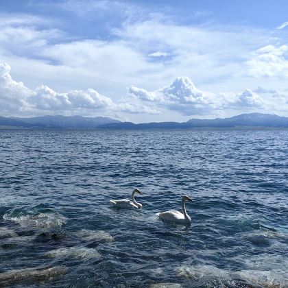 新疆乌鲁木齐9日8晚私家团