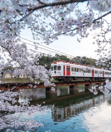 5D4N • Beyond Classic Kansai Tour: Explore Wakayama Nature, Kyoto Traditions, Kobe Waterfront and Osaka Highlights