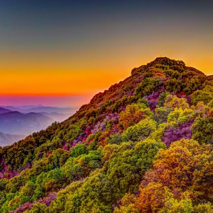 美国旧金山+加州1号公路+洛杉矶9日8晚私家团