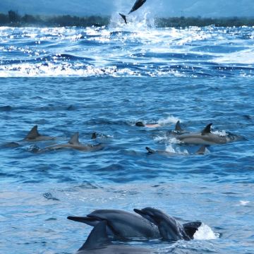 毛里求斯+鹿岛双体船巡游+蓝湾玻璃底船浮潜7日6晚私家团