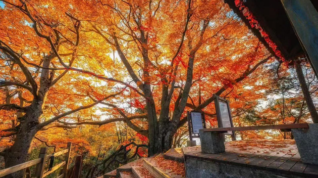 情侣6天川西秘境之旅：稻城亚丁+新都桥+鱼子西全攻略