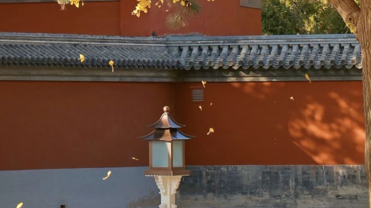 5D4N · Group Tours · Beijing + The Palace Museum + Mutianyu Great Wall + Summer Palace + Prince Kung's Palace Museum + Temple of Heaven + Universal Beijing Resort