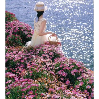 云南昆明+大理市+丽江+香格里拉+泸沽湖10日9晚跟团游