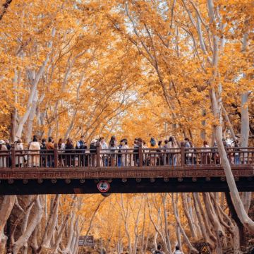 苏州+南京+扬州6日5晚私家团