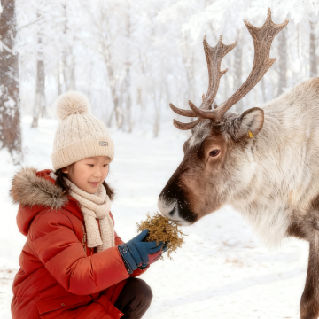 呼和浩特+辉腾锡勒草原+乌兰哈达火山地质公园+响沙湾5日4晚拼小团
