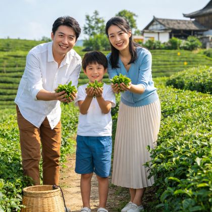 云南普洱5日4晚私家团