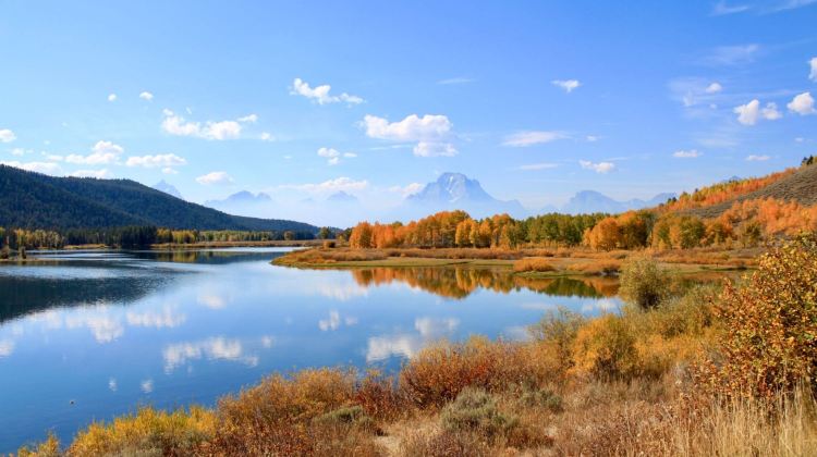5-Day Yellowstone National Park Small Group Tour from Salt Lake City · Jackson, Grand Teton, Yellowstone Bear World and Temple Square