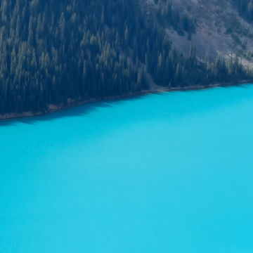 美国+加拿大13日跟团游