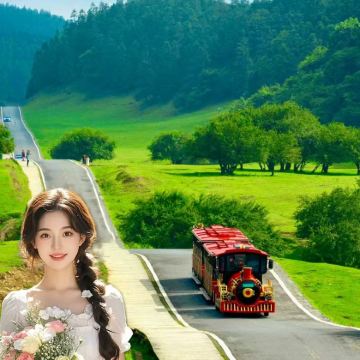 重庆+武隆区+大足石刻6日5晚拼小团