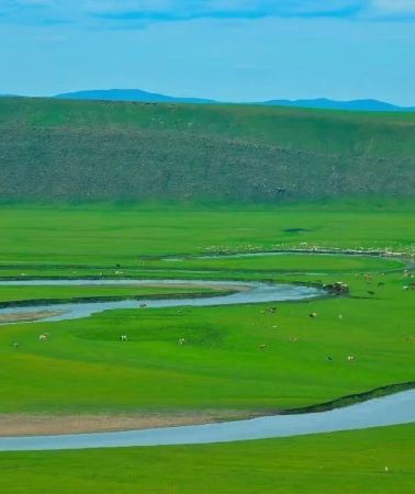 9D8N • Hulunbuir