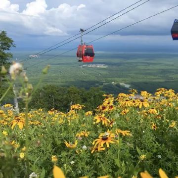 长白山+延吉4日3晚私家团