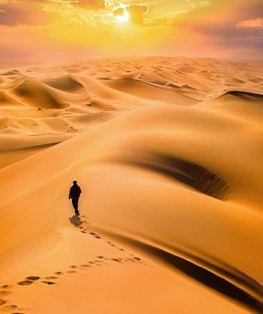 10D9N • 10 Days Gobi Desert and Central Mongolia Highlights Tour