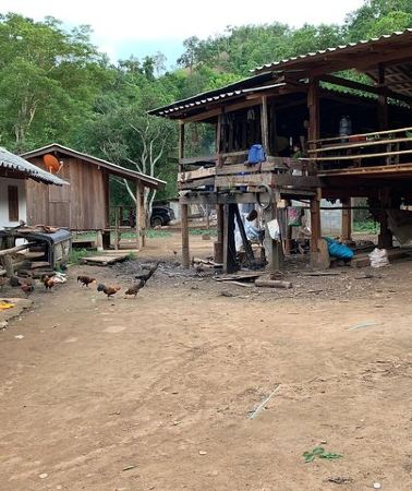 2D1N • 2-Day Kindred Spirit Elephant Sanctuary in Chiang Mai