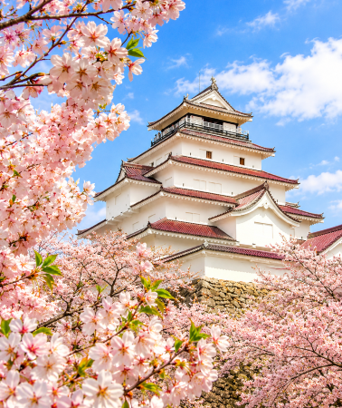 4日3晚 • 日本會津若松市+豬苗代湖+大內宿++郡山市